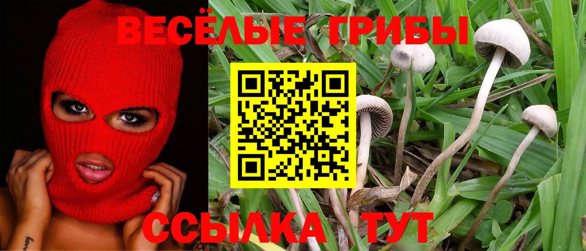 Гашиш  Метамфетамин  MDMA  МЕФ кристаллы  ЭКСТАЗИ  COCAIN  Елец  Вход с VPN  A-PVP СК  